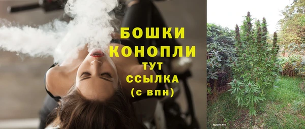 ПСИЛОЦИБИНОВЫЕ ГРИБЫ Баксан