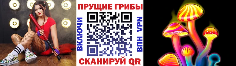 нарко площадка формула  Мамоново  Галлюциногенные грибы мицелий 